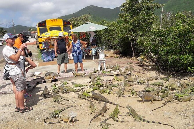 3-Hour Guided Jeep Tour Island Highlights and 1-Hour Relax by Beach - Guide Energy, Safety, and the Day-That-Happens Reality