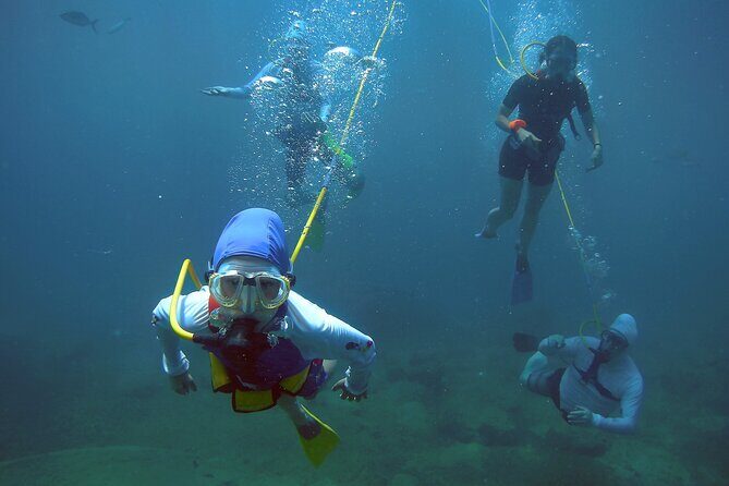 Adventure SNUBA in St. Maarten - Quick take: what makes this SNUBA tour work so well