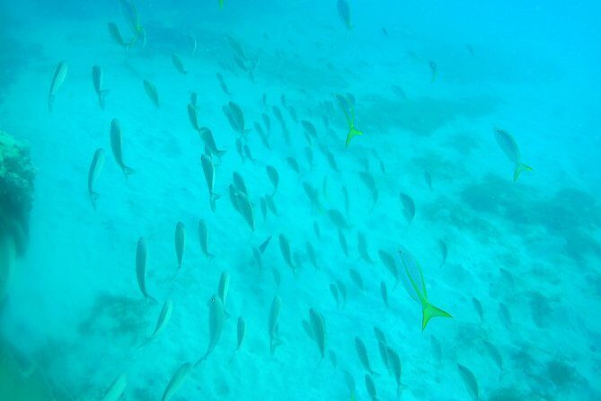 Adventure SNUBA in St. Maarten - Photos and the post-session mood