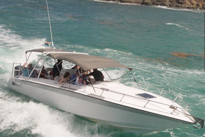CAPTAIN ALAN'S 4hr -3 Islands-snorkeling-turtles-beach ADVENTURE - Why This 3-Islands Plan Beats DIY on St Maarten