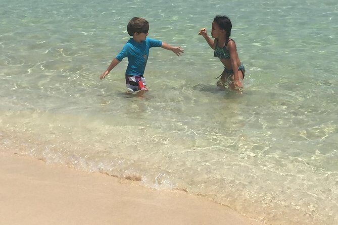 CAPTAIN ALAN'S 4hr -3 Islands-snorkeling-turtles-beach ADVENTURE - Stop 3: Pinel Island for Shallow-Water Snorkeling and Iguana Moments