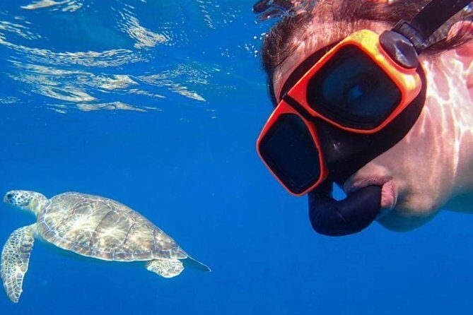 CAPTAIN ALAN'S 4hr -3 Islands-snorkeling-turtles-beach ADVENTURE - Price and Logistics: What You’ll Actually Pay