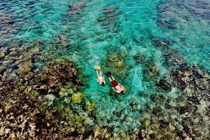 Captain Bob Speed Boat, Snorkeling, Beach Tour & Lunch St Maarten - Key things to love about Captain Bob’s St Maarten speedboat day