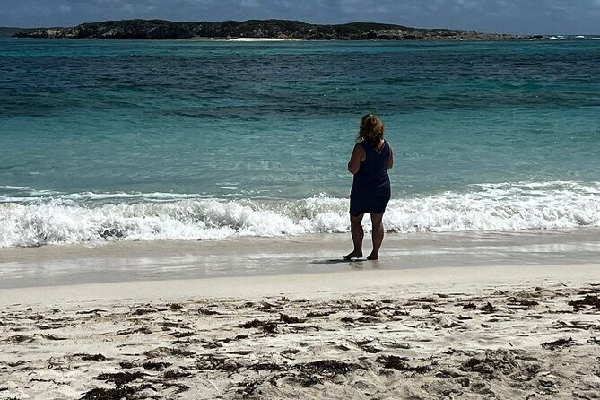 Celeb Island Adventure Tour - Key Highlights You’ll Actually Care About