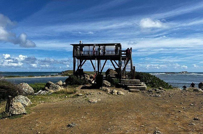 Celeb Island Adventure Tour - Price and Value: Why $90 Can Feel Fair (If You Use the Time)