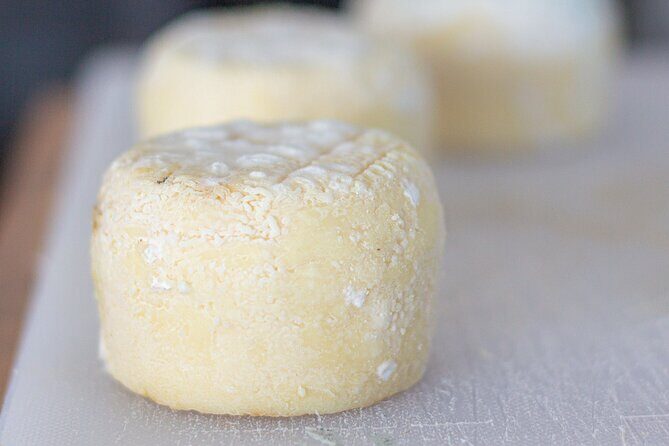 Cheese and Wine Tasting Platter in Saint Martin - The cheese part: 6 raw-milk styles you can actually follow