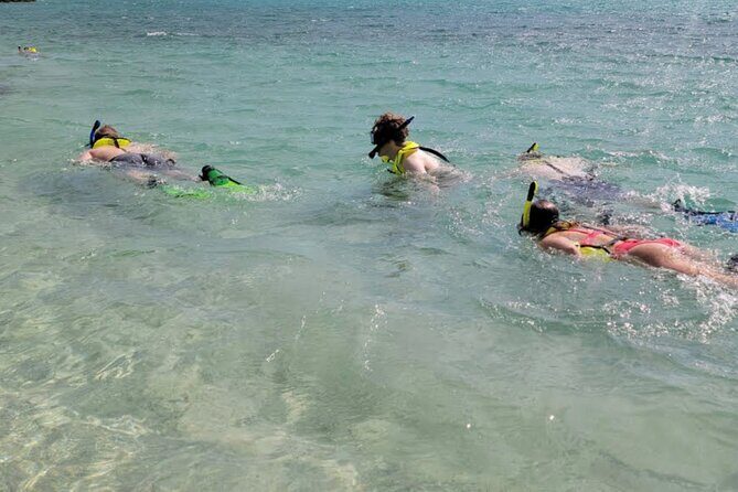 Cristal Speed boat, Snorkeling, Beach Tour & Lunch St Maarten - Getting to Dock Maarten Marina and what a 9:30am start means