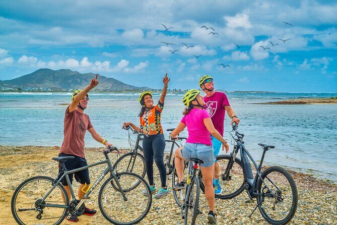 Gem of The Island Tour with E-Bike - How Challenging Is This Really?