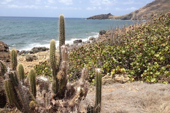Guana Bay Coastal Hike - Guana Bay to Geneve Bay: what this hike is really like