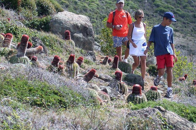 Guana Bay Coastal Hike - What’s included (and how it changes the value)
