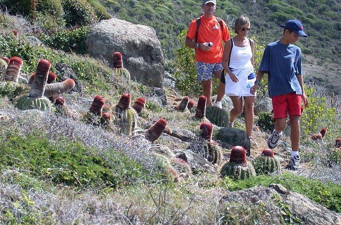 Guana Bay Coastal Hike - Fitness, footwear, and safety: read this part like a checklist