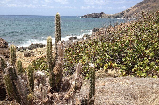 Guana Bay Coastal Hike - Weather matters on the coast
