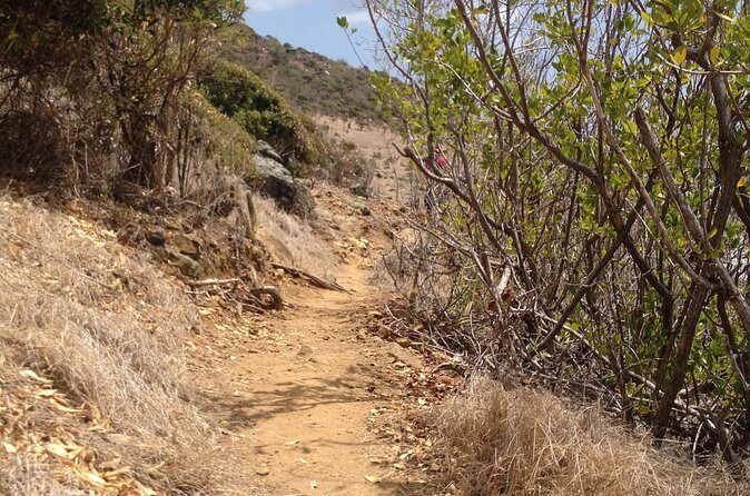Guana Bay Coastal Hike - Who this hike suits (and who might skip it)