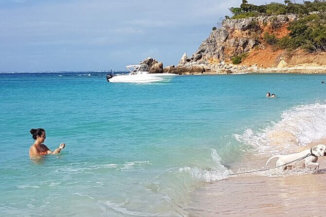 Half Day Private Boat Around St-Martin - Tintamarre Island: deserted white-sand beach time