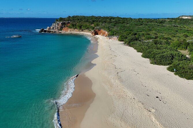 Half day snorkeling tour to Tintamarre islet - Creole Rock snorkeling stop: your best one-hour reef window