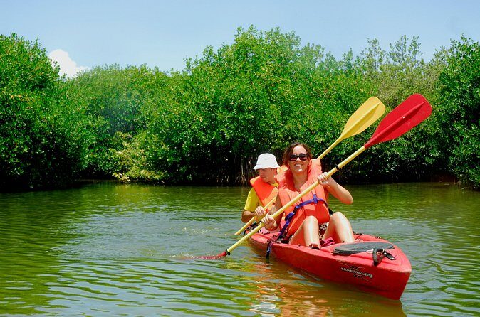 Kayak Lagoon Tour - Timing, fitness, and group feel for a 2.5-hour paddle