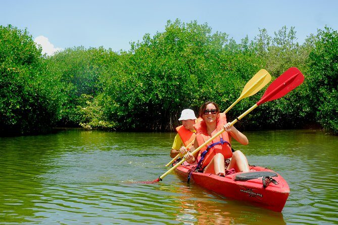 Kayak Lagoon Tour - Wildlife spotting in the saltwater lagoon: crabs and iguanas you might miss