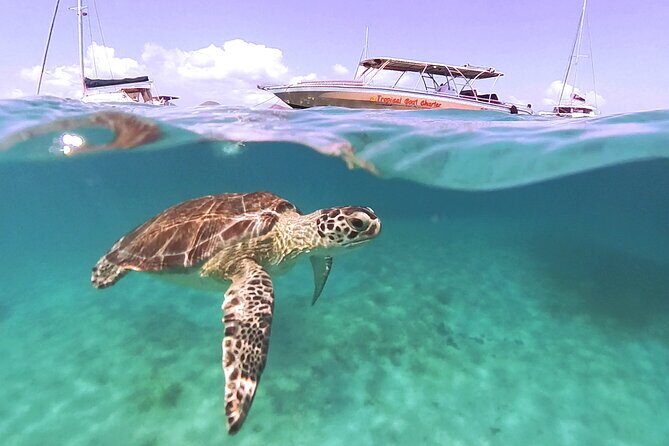 Private Boat Charter Saint Martin & natural reserve - Anse Marcel Passage: Scenic Sea Time Without the Pressure