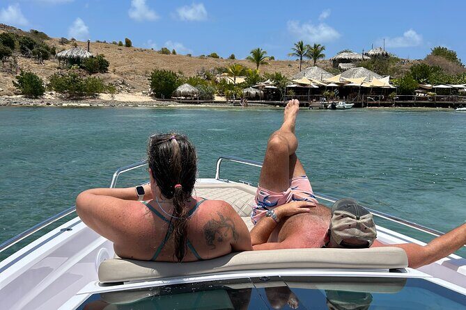 Private Charter Tour on Noali Axopar 37 Around St. Martin - Tintamarre Island: sea turtles, dolphins season, and wide-open beach time