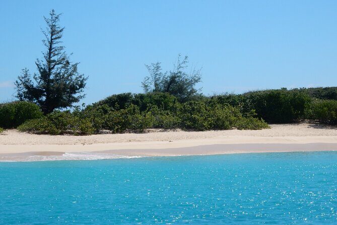 Private Full-Day Catamaran Sailing Charter in St Maarten - Tintamarre Island for turtle time: plan your day around this stop