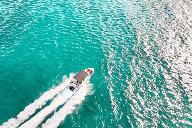 Private Full-Day Speed Boat Tour of St. Martin with Luxury Lunch - Tintamarre Island: sea turtles plus terracotta rock