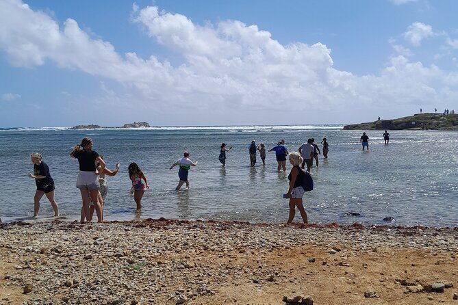 Private Island Tour in St. Maarten - Key highlights worth penciling in