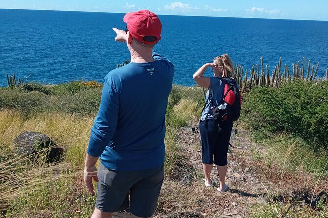 Private Island Tour in St. Maarten - Cole Bay lookout (15 minutes): quick photos, big payoff