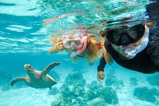 Private Speed Boat Charter in St Maarten & Nature Reserve - Pinel Island and the iguana factor: beach time with wildlife