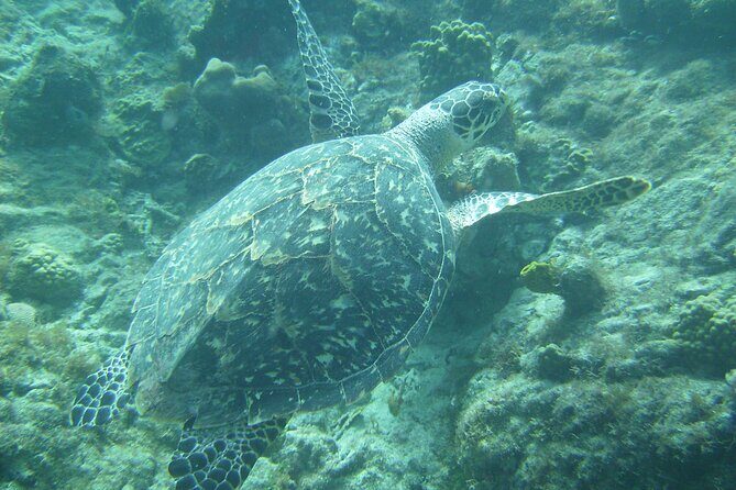 Private St. Maarten Cruise - Hakuna Matata Catamaran - A 7-Hour Private Catamaran Day Around St Maarten