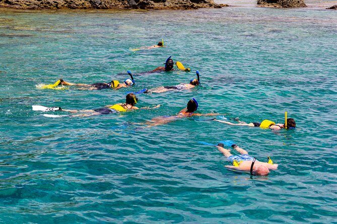 Sand Dollar Half Day Snorkel Trip - Cruise views, plus the fun extras you might catch