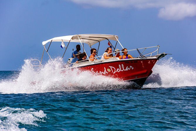 Sand Dollar Half Day Snorkel Trip - Snorkeling at Creole Rock: how to make the most of your window