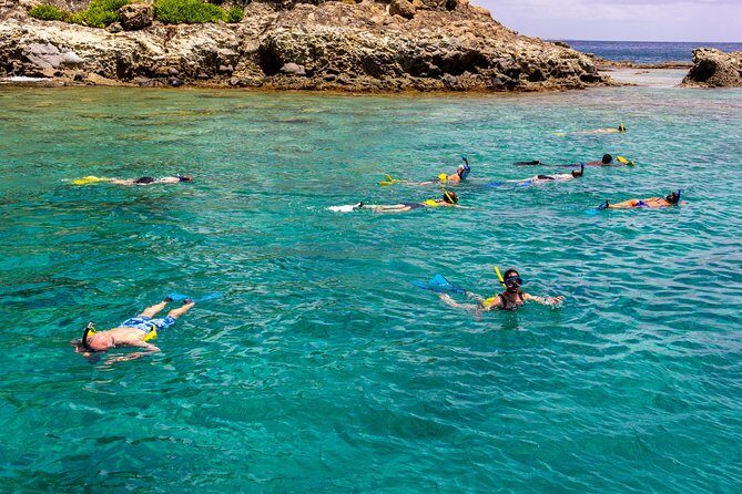 Sand Dollar Half Day Snorkel Trip - Price and value: is $65 fair for this half-day?