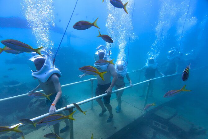 SeaTrek Tour St. Maarten - Key points to know before you go