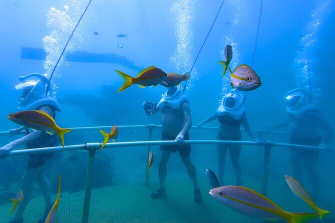 SeaTrek Tour St. Maarten - Timing tips for cruises and flights