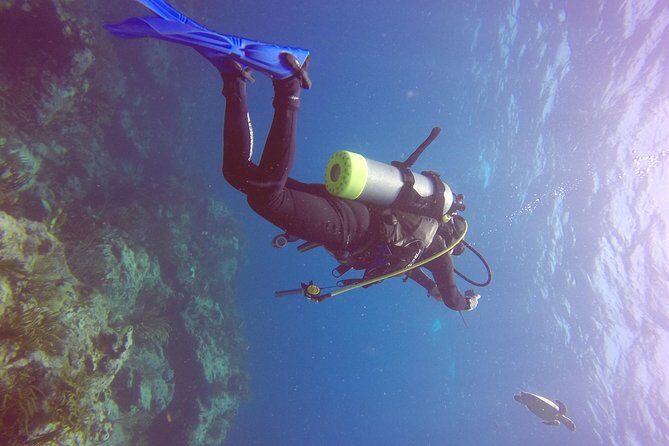 St Maarten Discover Scuba - Divi Little Bay Underwater Targets: 30 Feet and a Sunken Submarine