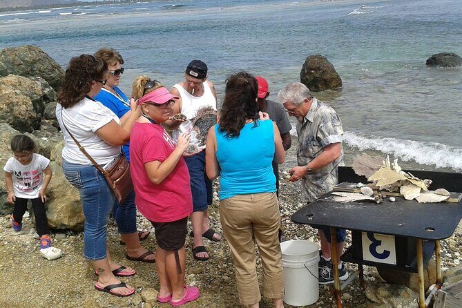 St Maarten Excursion: Island Sightseeing + Beach & Shopping. - Cole Bay Hill and the Photo Stops Over Simpson and Indigo Bay