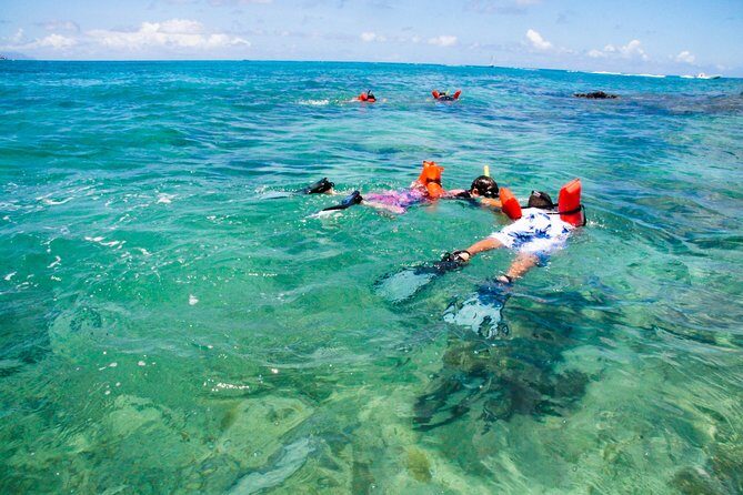 St Maarten Kayak and Snorkel Adventure in Simpson Bay - The Kayak Back, the Fresh-Water Shower, and the Greenhouse Restaurant Moment