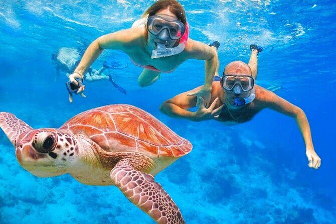 St.Maarten Nature, Hike & Snorkeling - Key highlights at a glance
