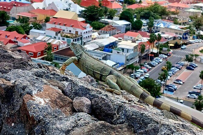St. Maarten/Saint Martin Island Tour - Pickup, Private Time, and How the Day Stays Flexible