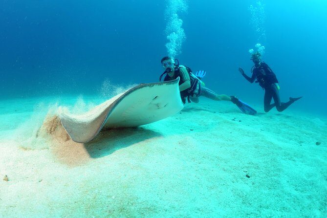 St Maarten Scuba Diving for Certified Divers - Key things that make this St Maarten scuba outing worth a look