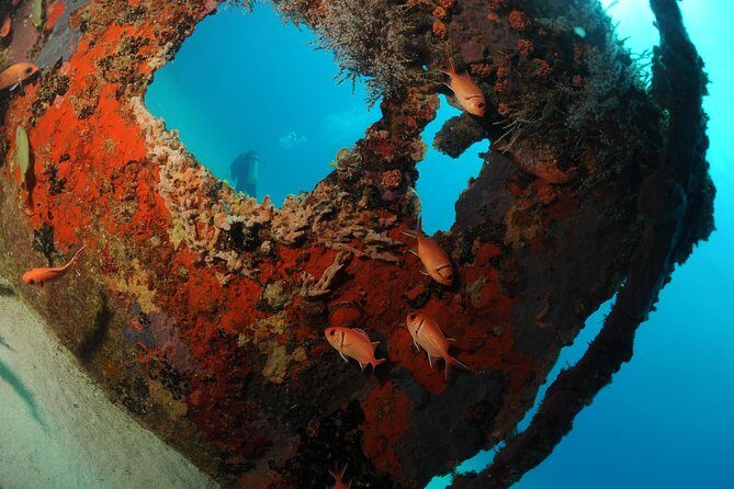 St Maarten Scuba Diving for Certified Divers - Getting to the water: what the boat ride is likely to feel like