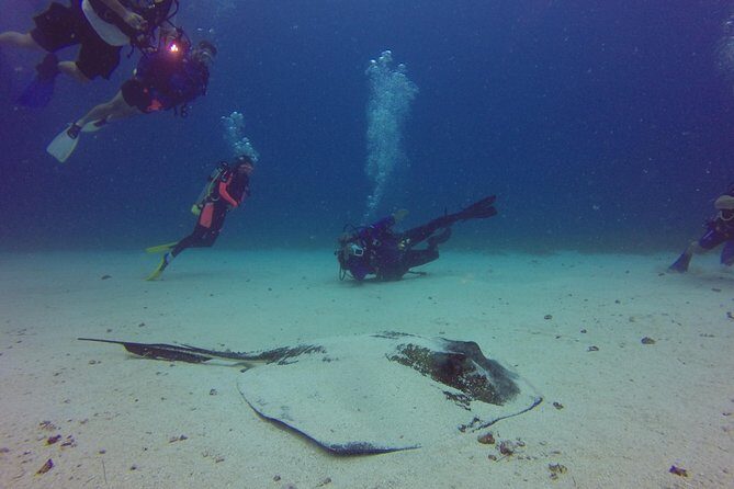 St Maarten Scuba Diving for Certified Divers - What small-group size and PADI guidance really means in your day