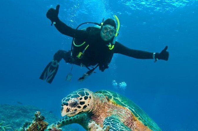 St Maarten Scuba Diving for Certified Divers - Price and value: why $120 can be a good deal (if it fits your timing)