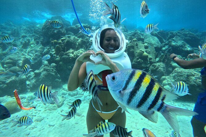 St Maarten SeaTrek and Snorkeling Adventure - Key takeaways before you go