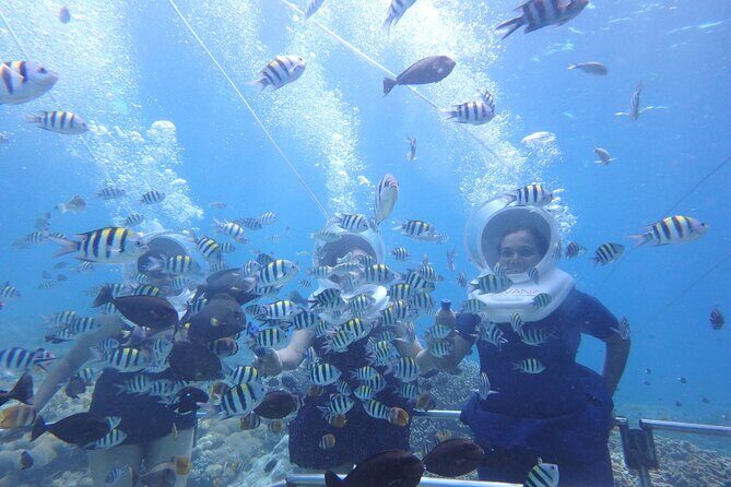 St Maarten SeaTrek and Snorkeling Adventure - Value check: is $143.10 worth it?