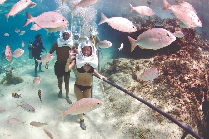St Maarten SeaTrek and Snorkeling Adventure - Who should book: the physical checklist that matters