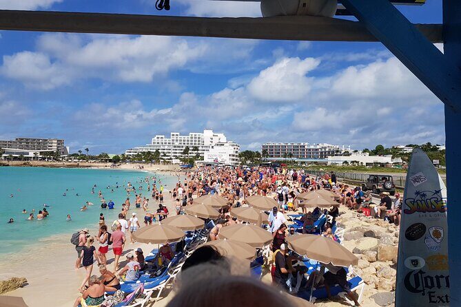 St.Maarten / St.Martin Private Tour - Belvedere Drive and the iguana park photo moment