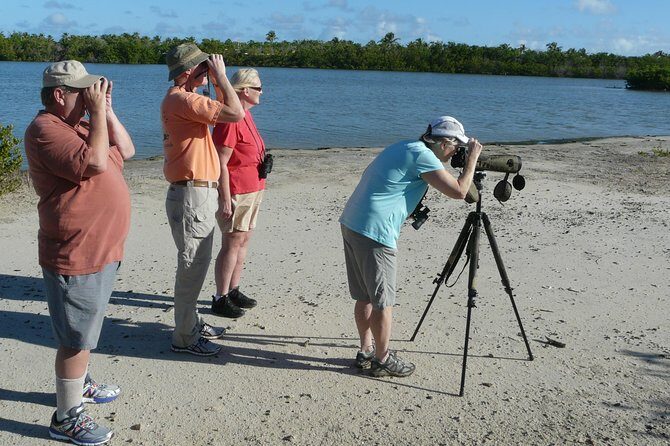 St.Martin - St.Maarten: Small Group, Birding Tour / Bird Watching Tour - Your guide, binoculars, and a group size that actually helps