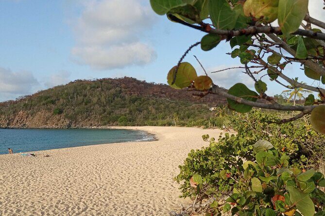 St.Martin - St. Maarten: Small Group, Coastal Hike & Swim Tour - Key things I’d circle before you go