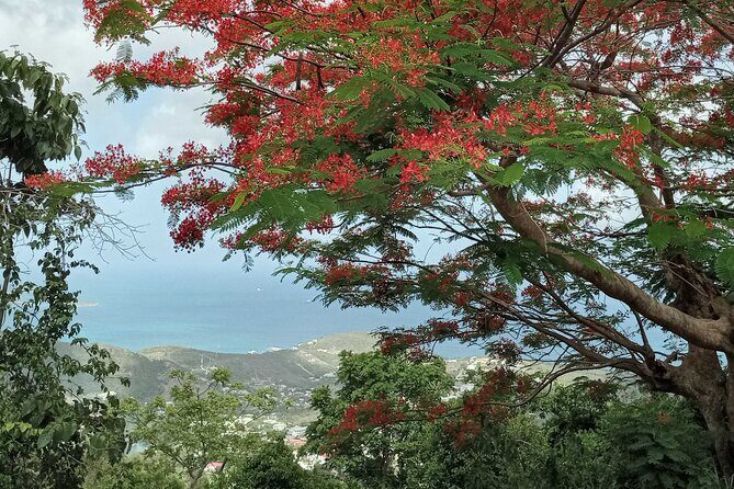 St.Martin - St. Maarten: Small Group, Coastal Hike & Swim Tour - From Philipsburg to Pic Paradis: the real reason to choose this tour
